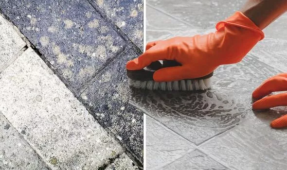 Чем отмыть тротуарную плитку — Чистка тротуарной плитки
